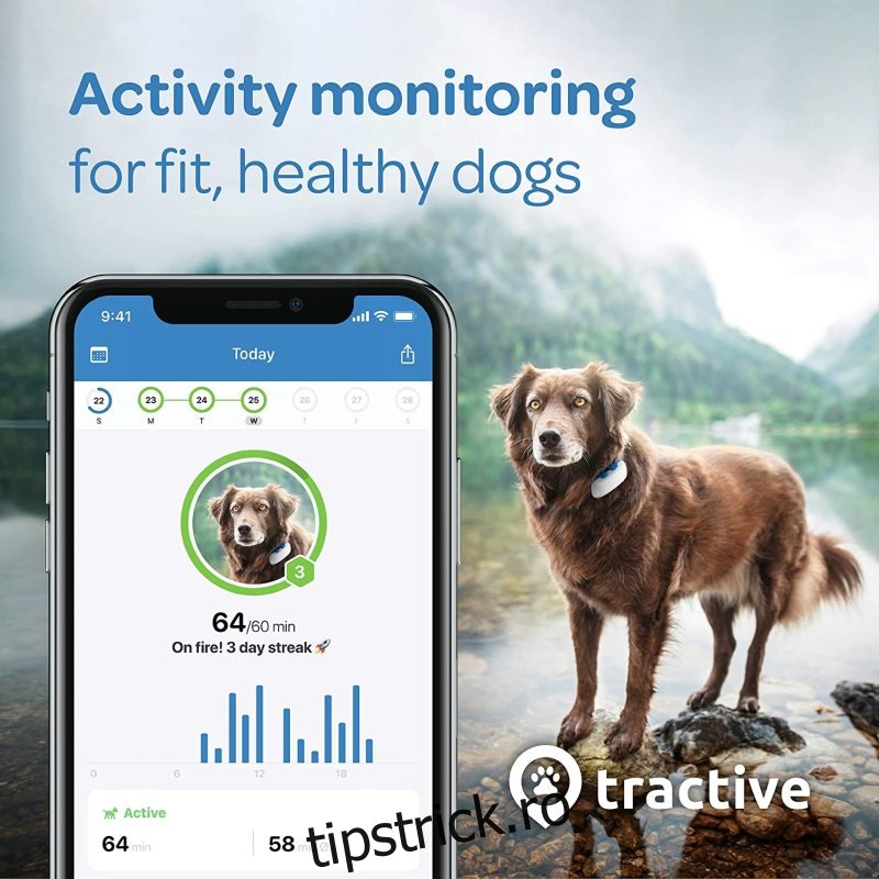 Tractive LTE GPS Tracker pentru câini