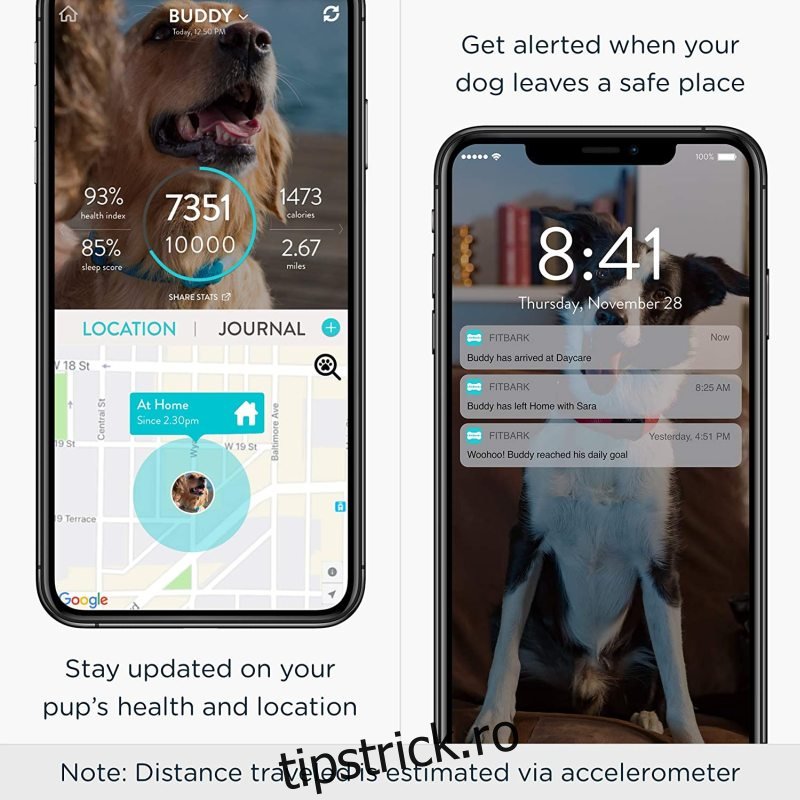 Tracker GPS FitBark pentru câini |  Sănătate și locație Guler inteligent de urmărire a animalelor de companie