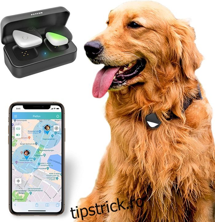 Tracker GPS PetFon Pet