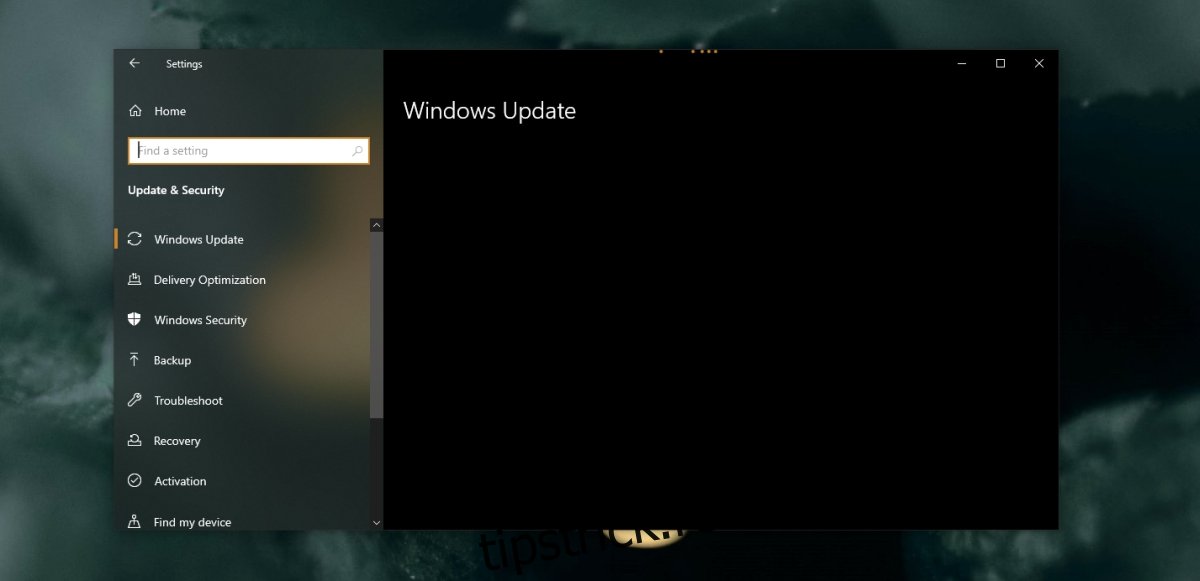 Actualizarea Windows și fila de securitate nu se încarcă