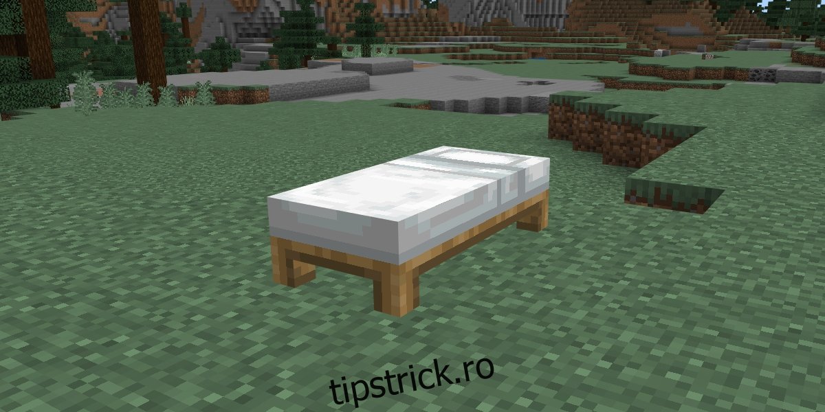 pat în Minecraft