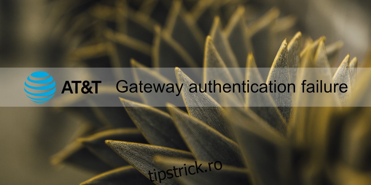 eșec de autentificare gateway