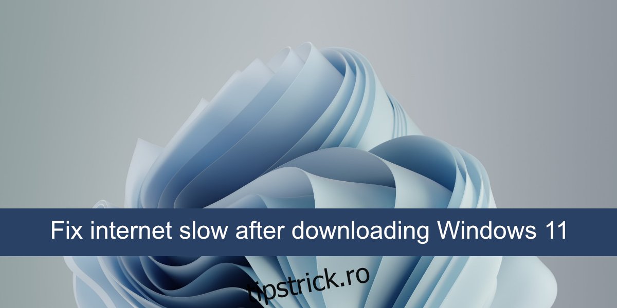 remediați lent internetul după descărcarea Windows 11