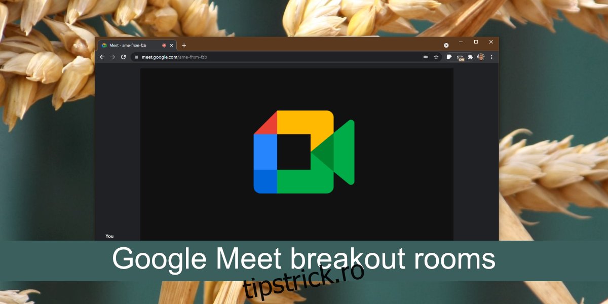 Săli de grup Google Meet