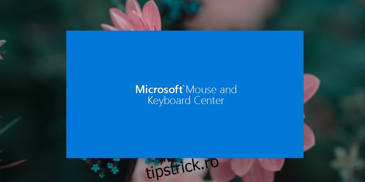 Centrul pentru mouse și tastatură Microsoft
