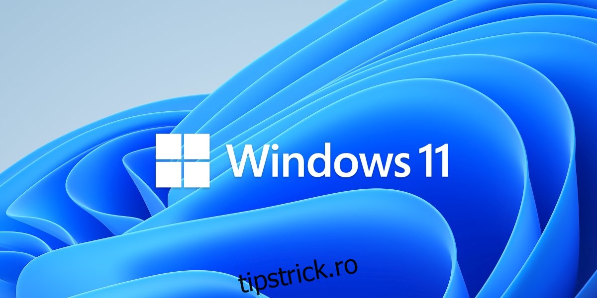 Aplicația de verificare a stării Windows 11