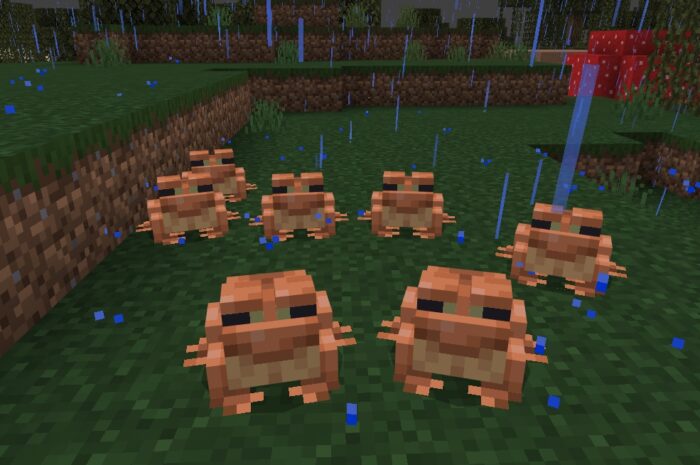 Minecraft Frogs: Cum să le găsești