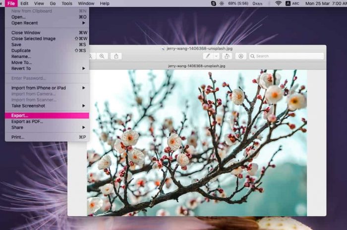 Cum se convertesc imagini JPEG și PNG în HEIC pe macOS