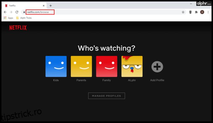Cum să redați în flux Netflix pe Discord