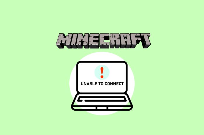 Remediere Imposibil de conectat la World Minecraft în Windows 10