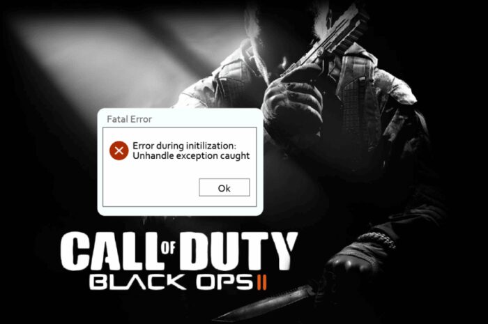 Remediați eroarea prinsă de excepție netratată CoD Black Ops 2