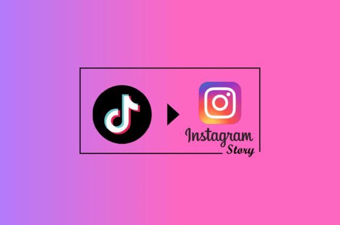 Cum să obțineți TikTok complet pe Instagram Story