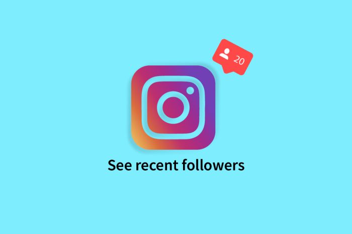 Cum să vezi urmăritori recenti pe Instagram