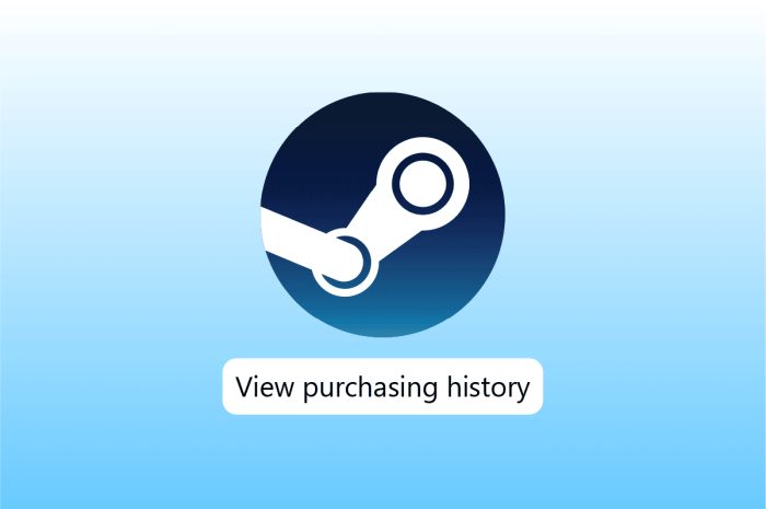 Cum să vizualizați istoricul achizițiilor Steam
