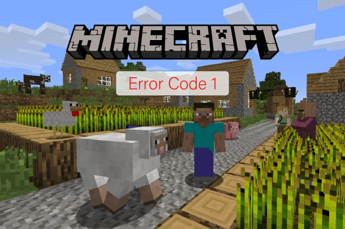 Ce înseamnă codul de eroare 1 pe Minecraft?  Cum se remediază
