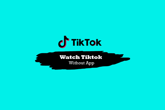 Cum să vizionezi TikTok fără aplicație