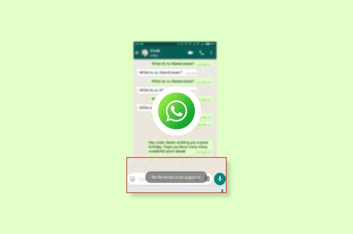Remediați formatul de fișier WhatsApp neacceptat pe Android