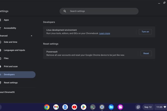Cum să actualizați și să actualizați Linux pe Chromebookul dvs