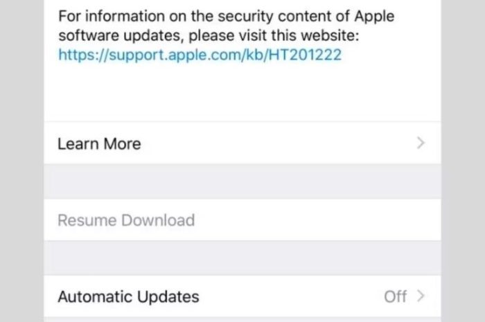 6 moduri de a remedia o actualizare iOS blocată care spune Reluați descărcarea