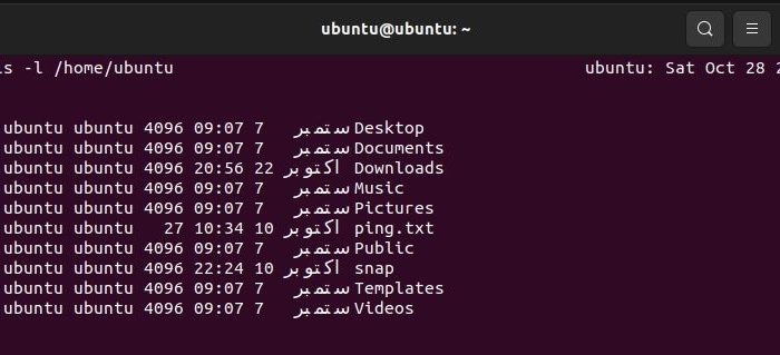 Cum să rulați un program periodic utilizând comanda Watch pe Linux