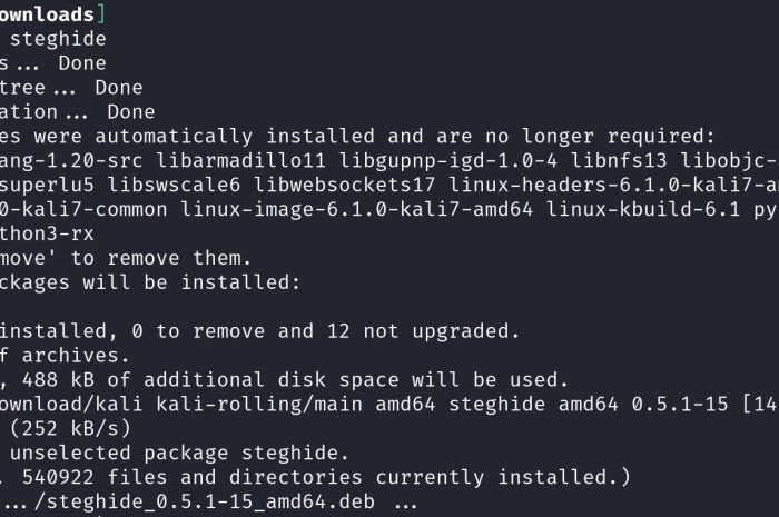Un ghid pentru steganografie pe Linux